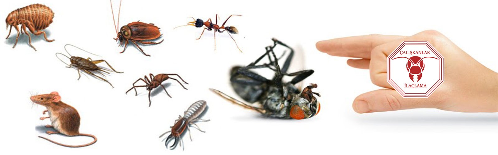 UNBEATABLE TRUCKING AND TRANSPORT SERVICES